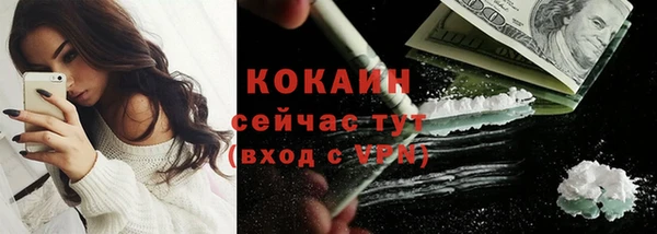 стаф Магас