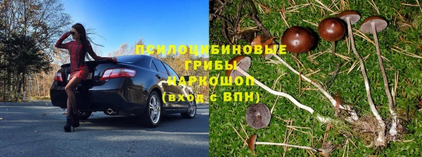 первитин Лиски