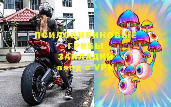 первитин Лиски