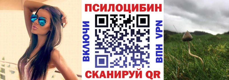 blacksprut Лянтор Псилоцибиновые грибы MAGIC MUSHROOMS